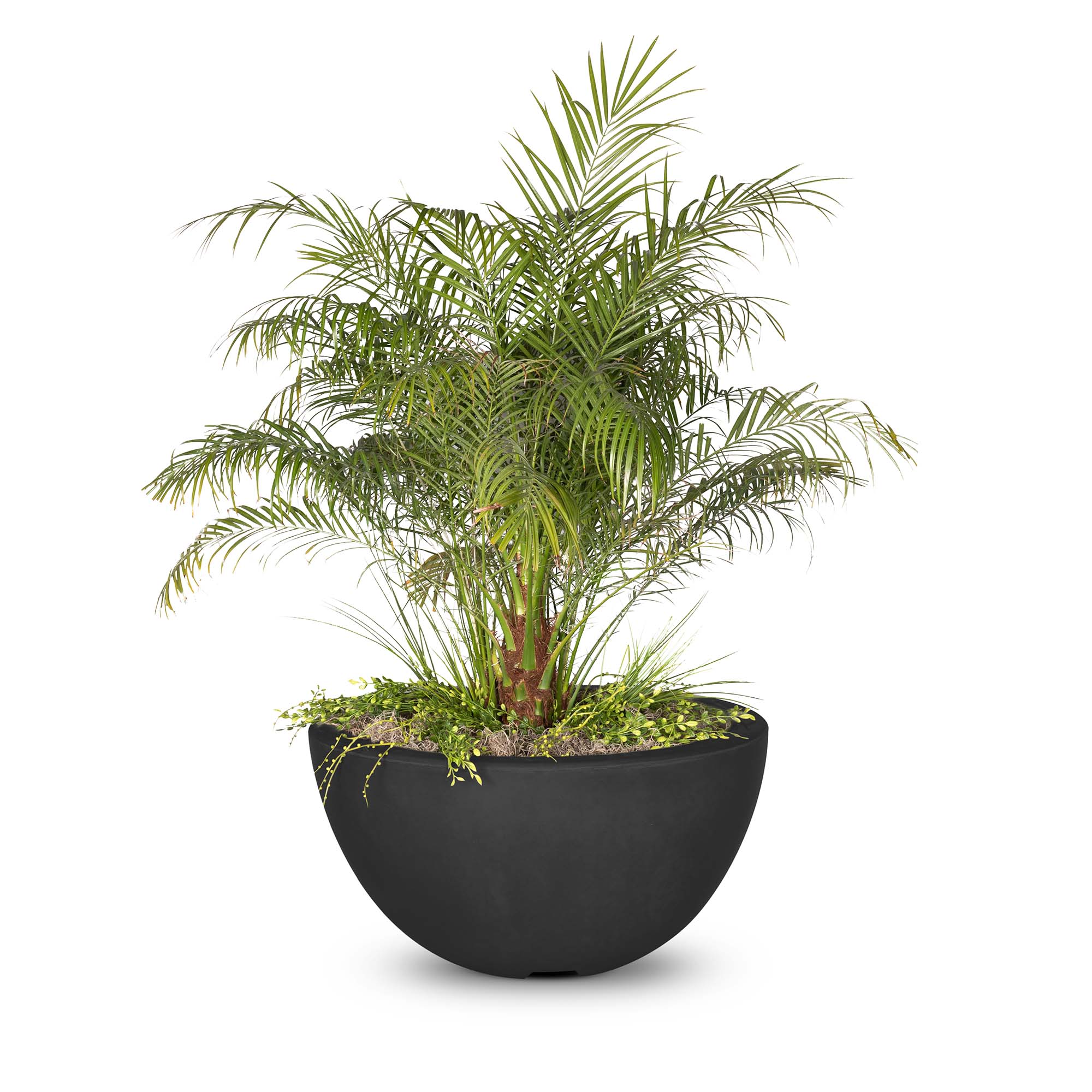 The Outdoor Plus Luna Concrete Planter Bowl
