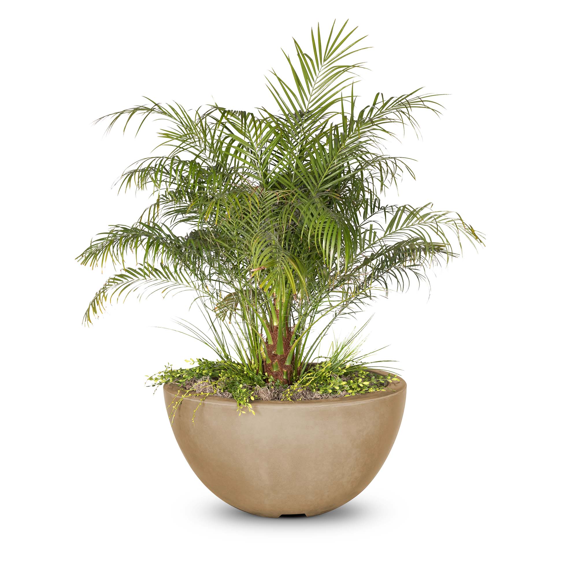 The Outdoor Plus Luna Concrete Planter Bowl