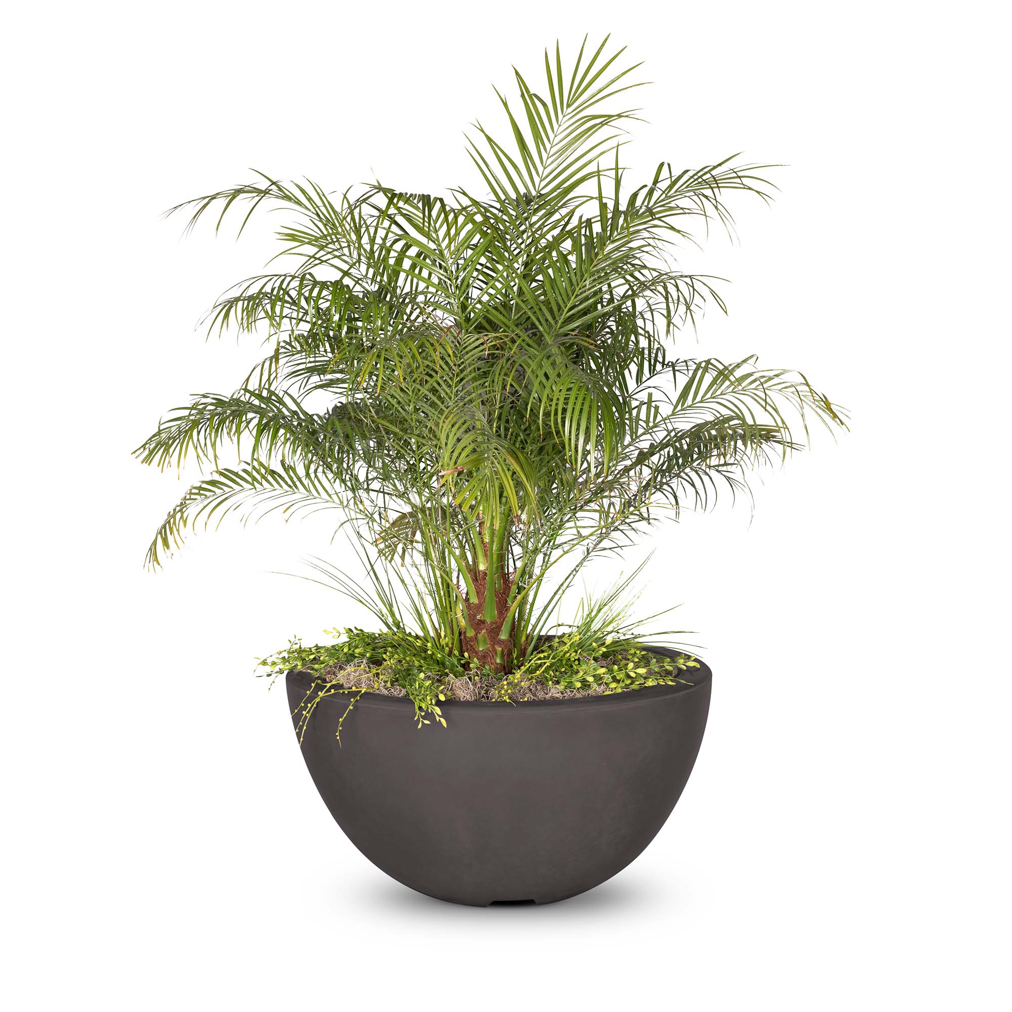 The Outdoor Plus Luna Concrete Planter Bowl