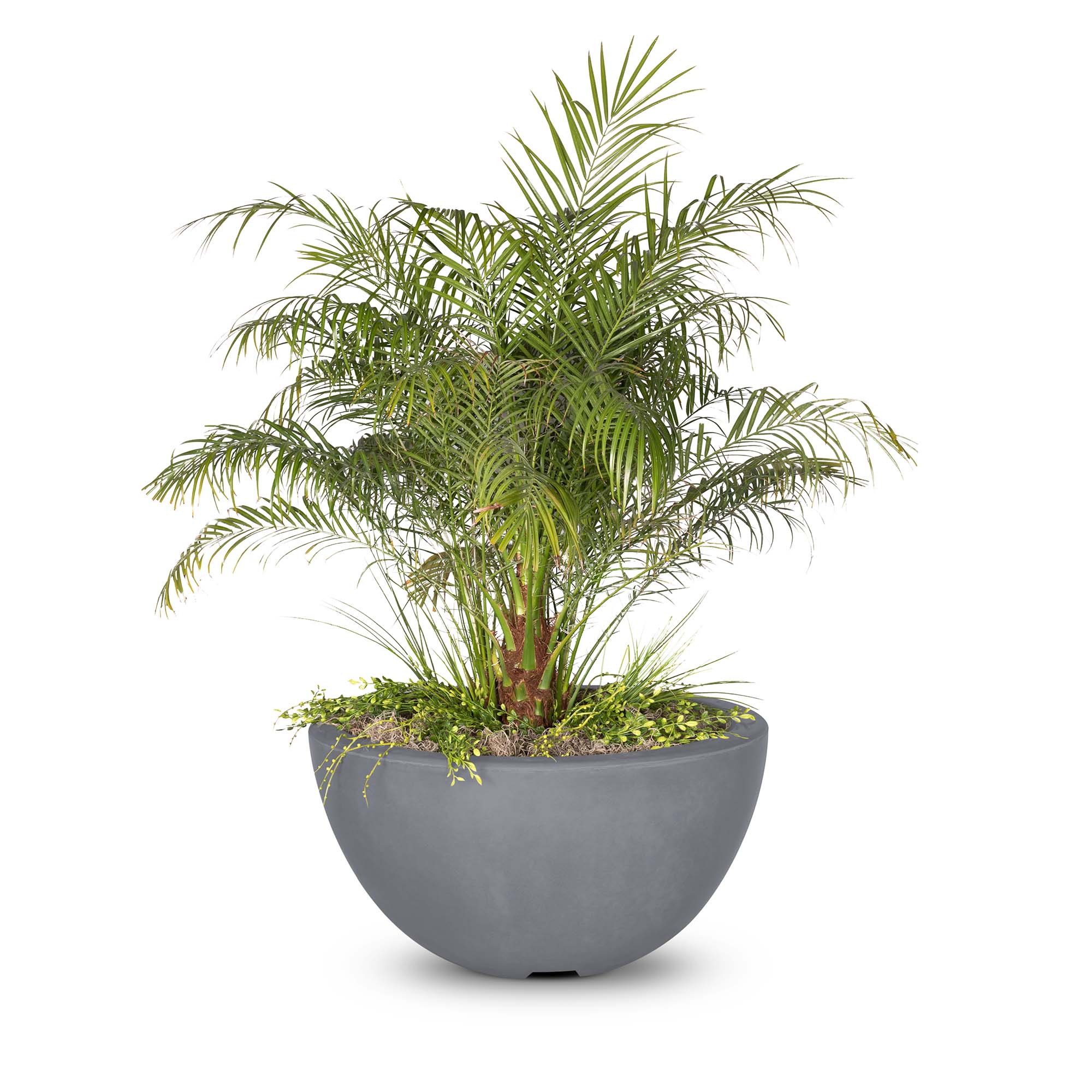 The Outdoor Plus Luna Concrete Planter Bowl