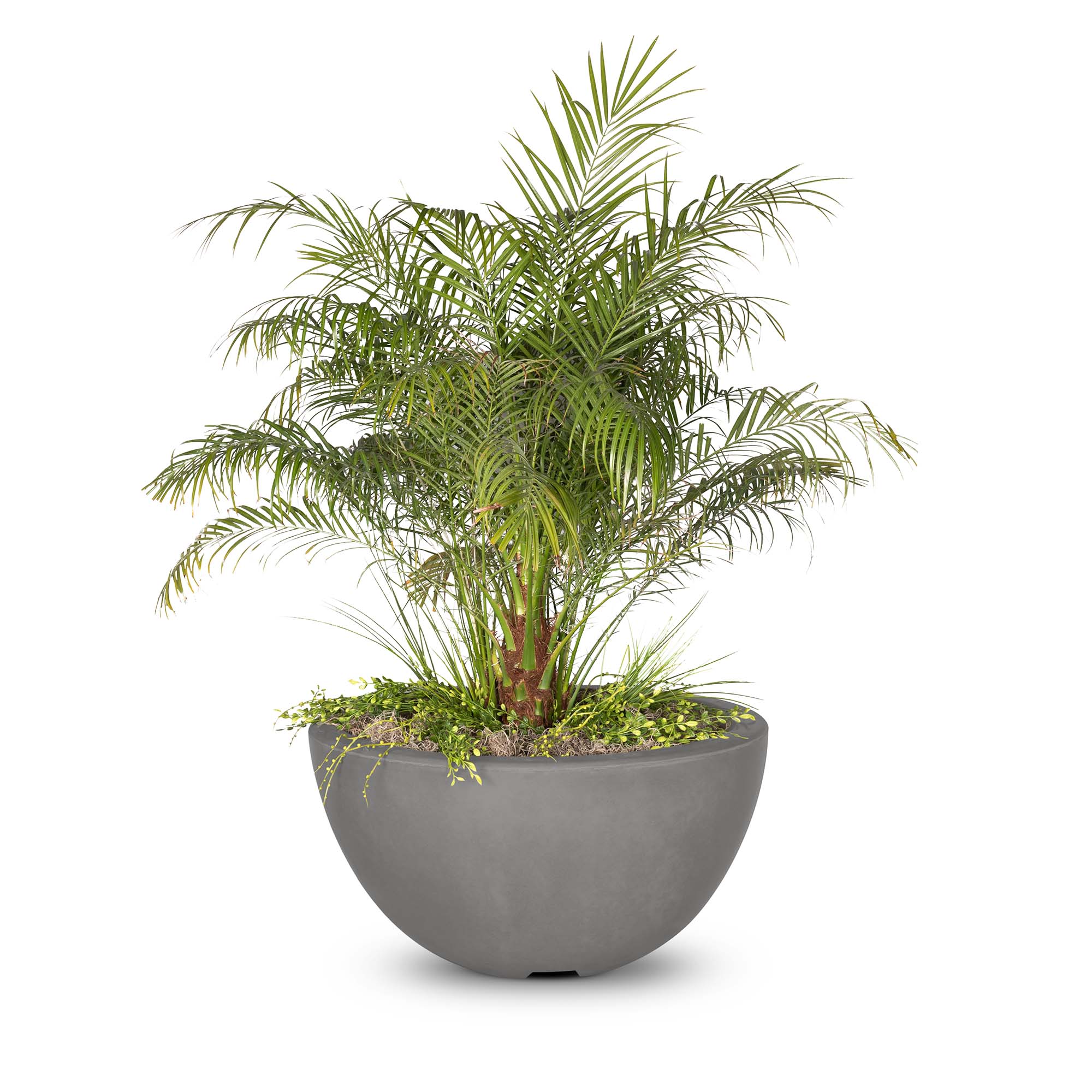The Outdoor Plus Luna Concrete Planter Bowl