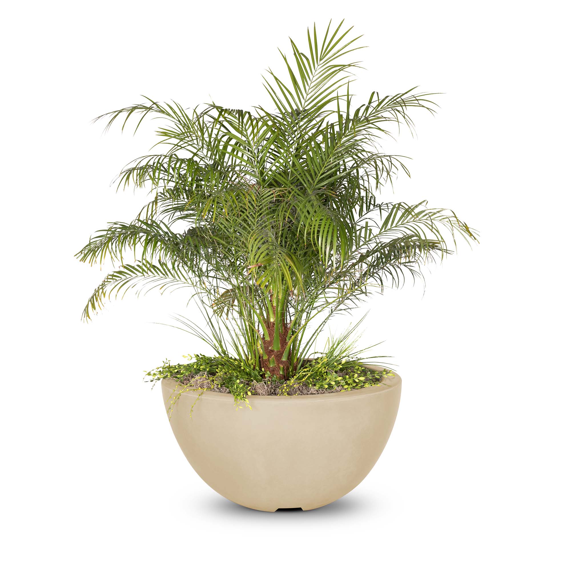 The Outdoor Plus Luna Concrete Planter Bowl