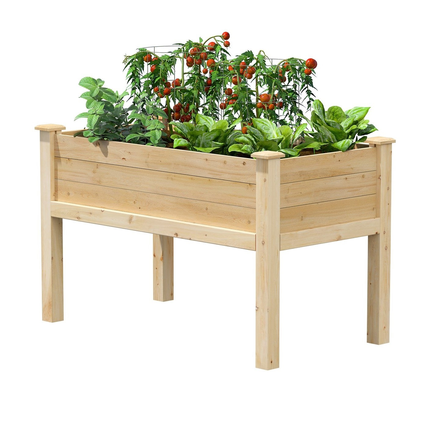 Fast Furnishings Farmhouse 24-in x 48-in x 31-in Cedar Elevated Victory Garden Bed - Made in USA