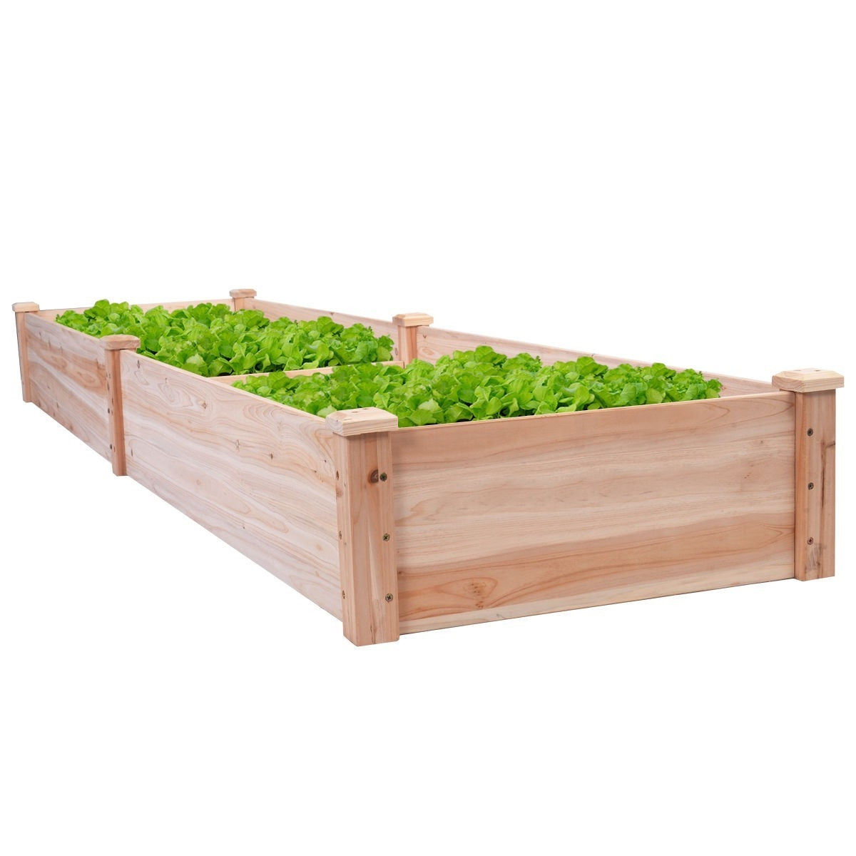 Fast Furnishings Solid Cedar Wood 8 ft x 2 ft Raised Garden Bed Planter