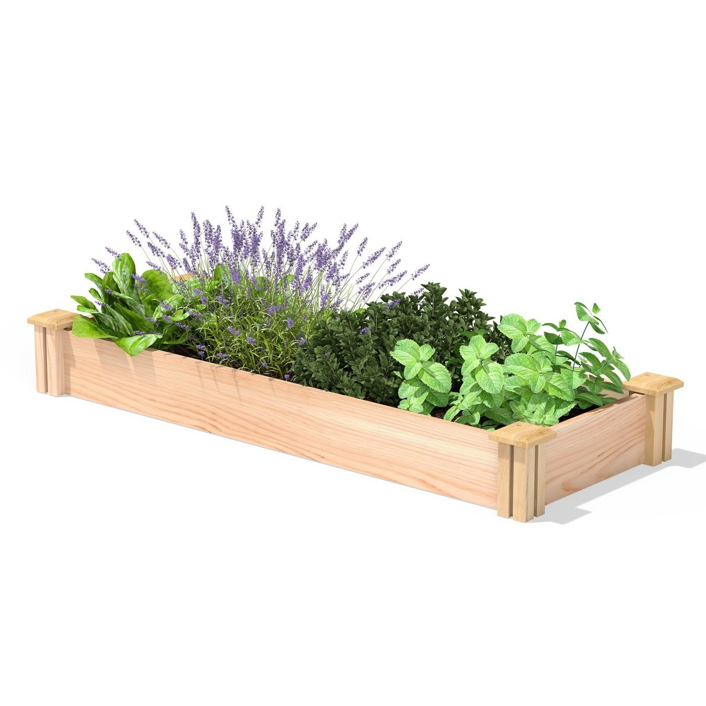 Fast Furnishings 16 in x 48 in Low Profile Cedar Raised Garden Bed - Made In USA