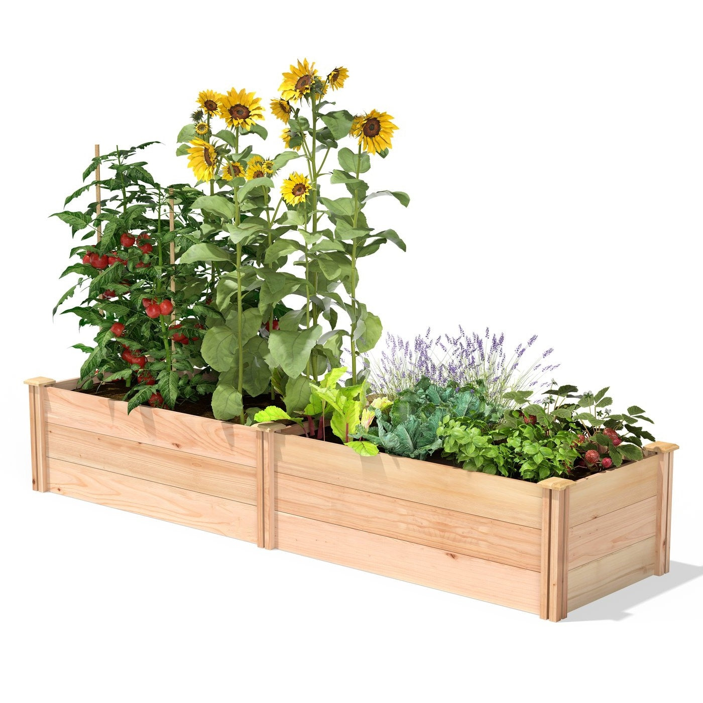 Fast Furnishings 2 ft x 8 ft Tall Cedar Wood Raised Garden Bed - Made in USA