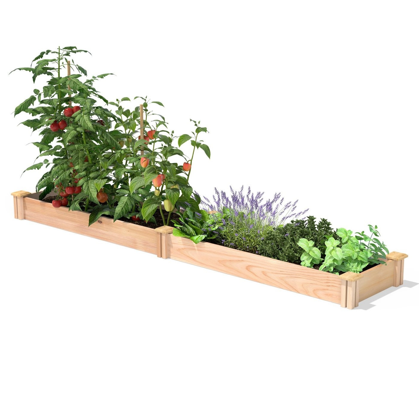 Fast Furnishings 16 in x 96 in Low Profile Cedar Raised Garden Bed - Made In USA