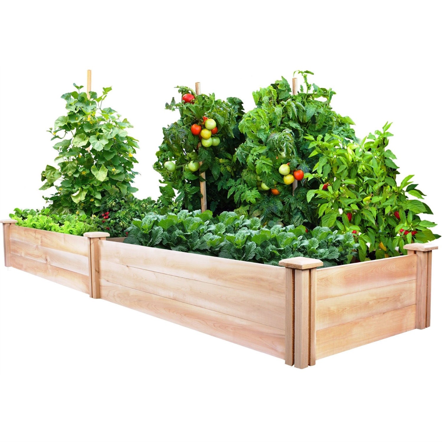 Fast Furnishings Cedar Wood 2-Ft x 8-Ft Outdoor Raised Garden Bed Planter Frame - Made in USA