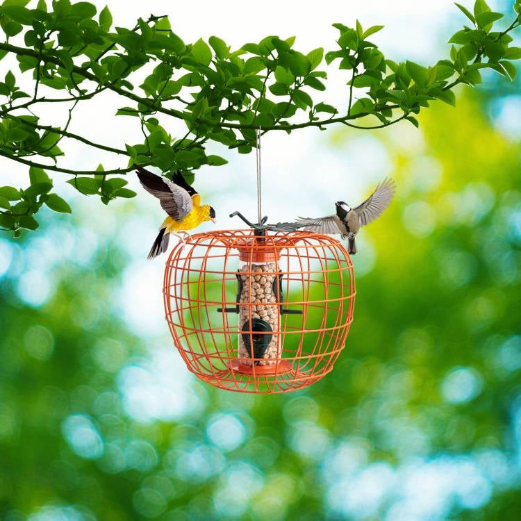 Fast Furnishings Outdoor Squirrel Resistant Orange Metal Mesh Small Bird Feeder