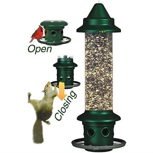 Fast Furnishings Squirrel-proof Bird Feeder with Perch Ring