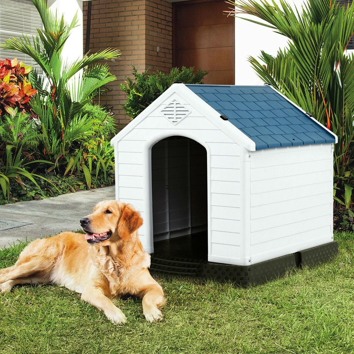 Fast Furnishings Medium size Outdoor Heavy Duty Blue and White Plastic Dog House