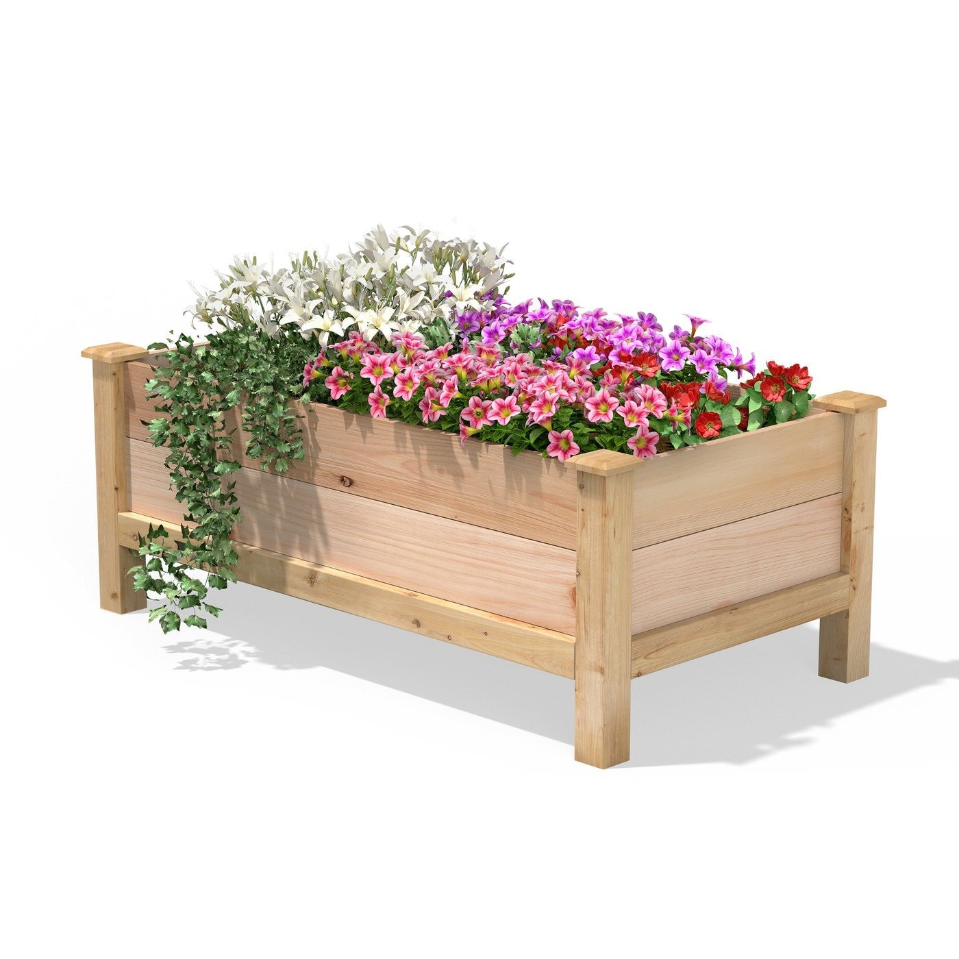 Fast Furnishings Farmhouse 24-in x 48-in x 19-in Cedar Elevated Victory Garden Bed - Made in USA