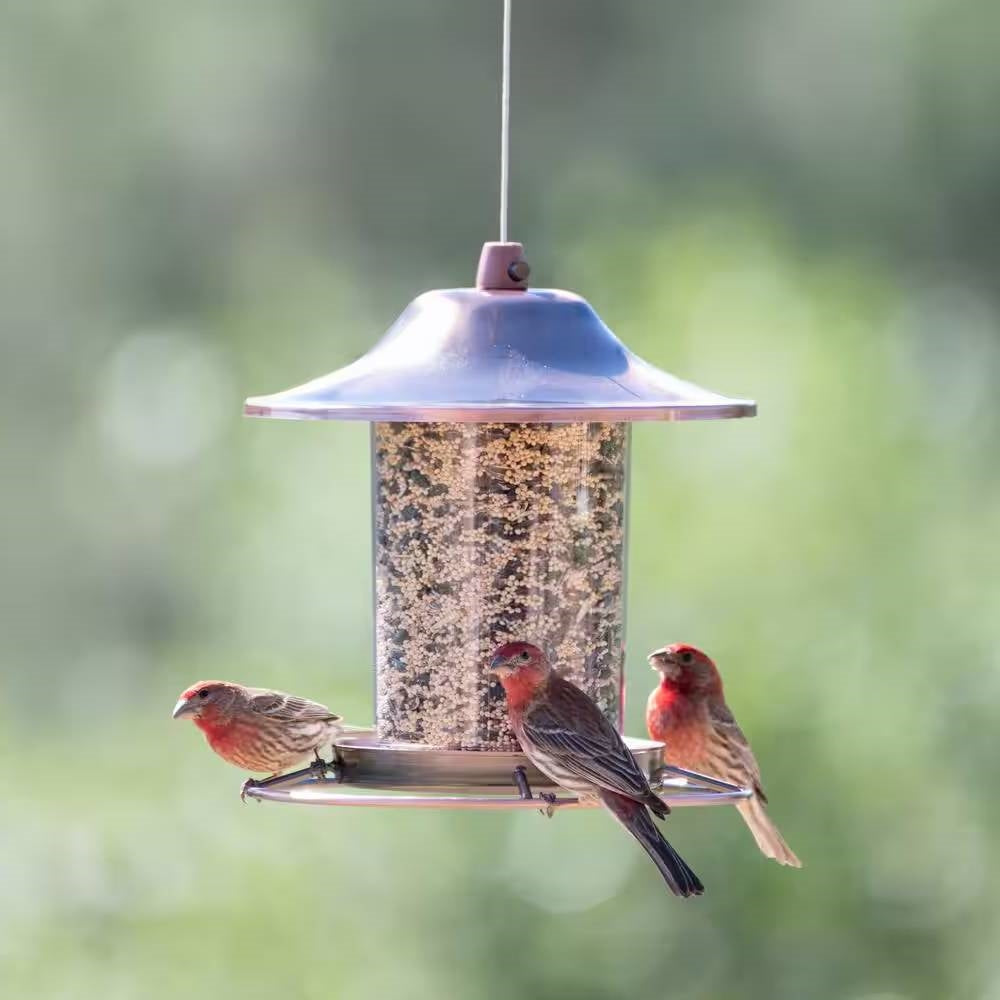 Fast Furnishings Copper Bird Feeder with Plastic Seed Reservoir Tube and Circular Perch