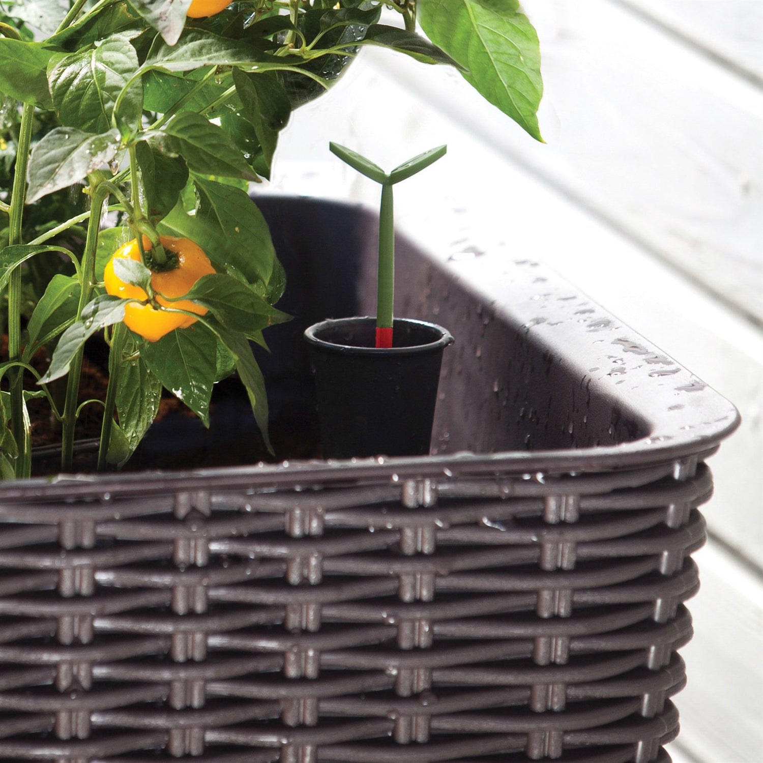 Fast Furnishings Modern Dark Brown Resin Wicker Raised Garden Bed Planter with Water Indicator