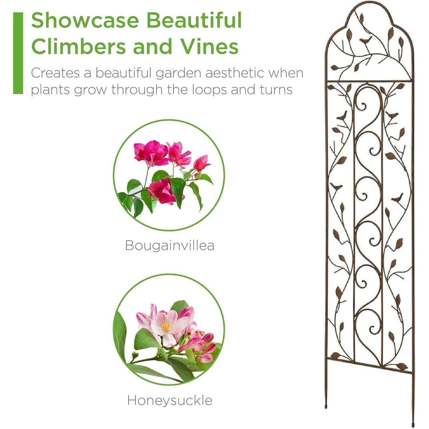 Fast Furnishings 60-inch Tall Outdoor Iron Garden Trellis in Bronze Metal Finish