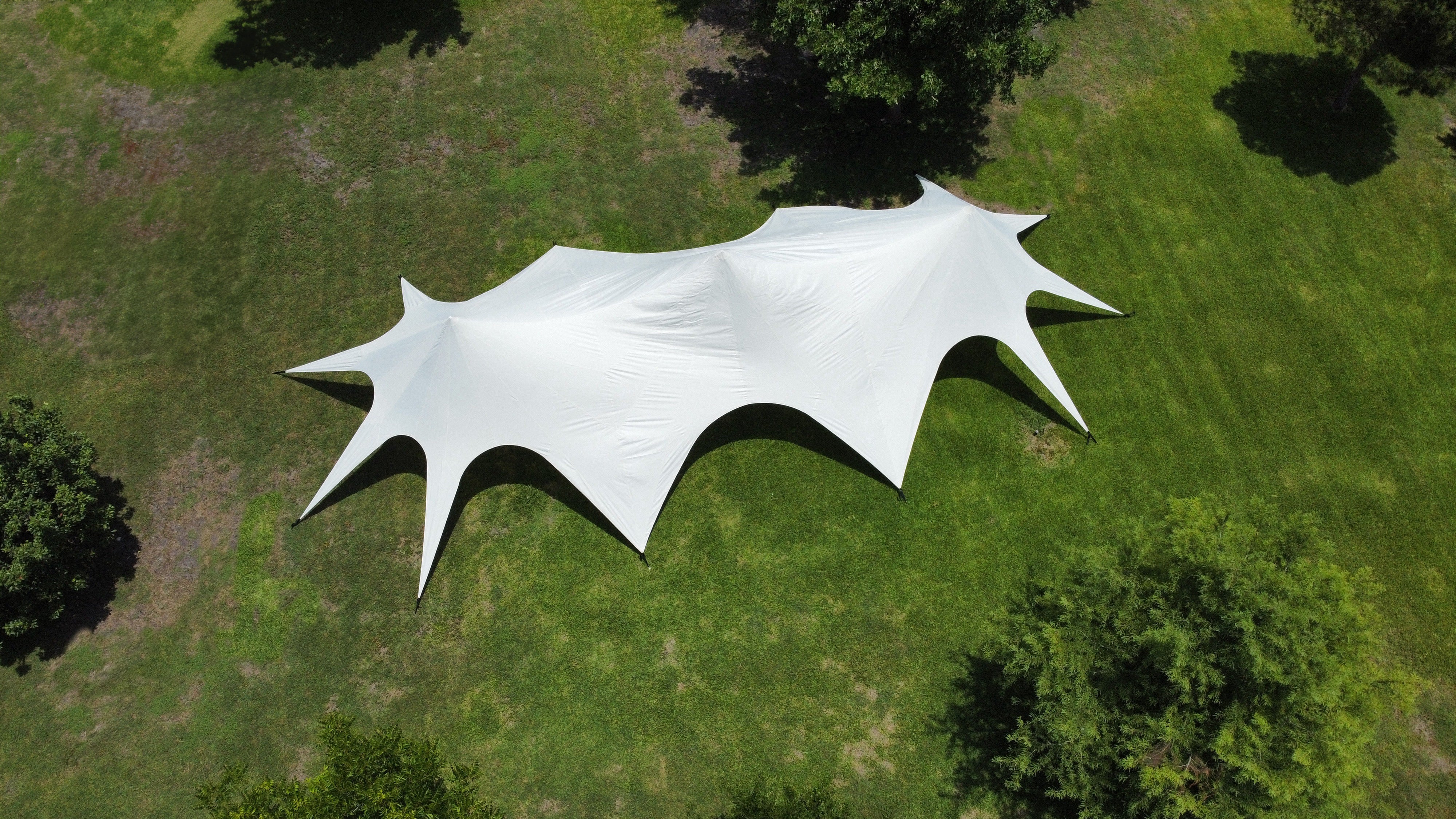 Star Cluster Canopy