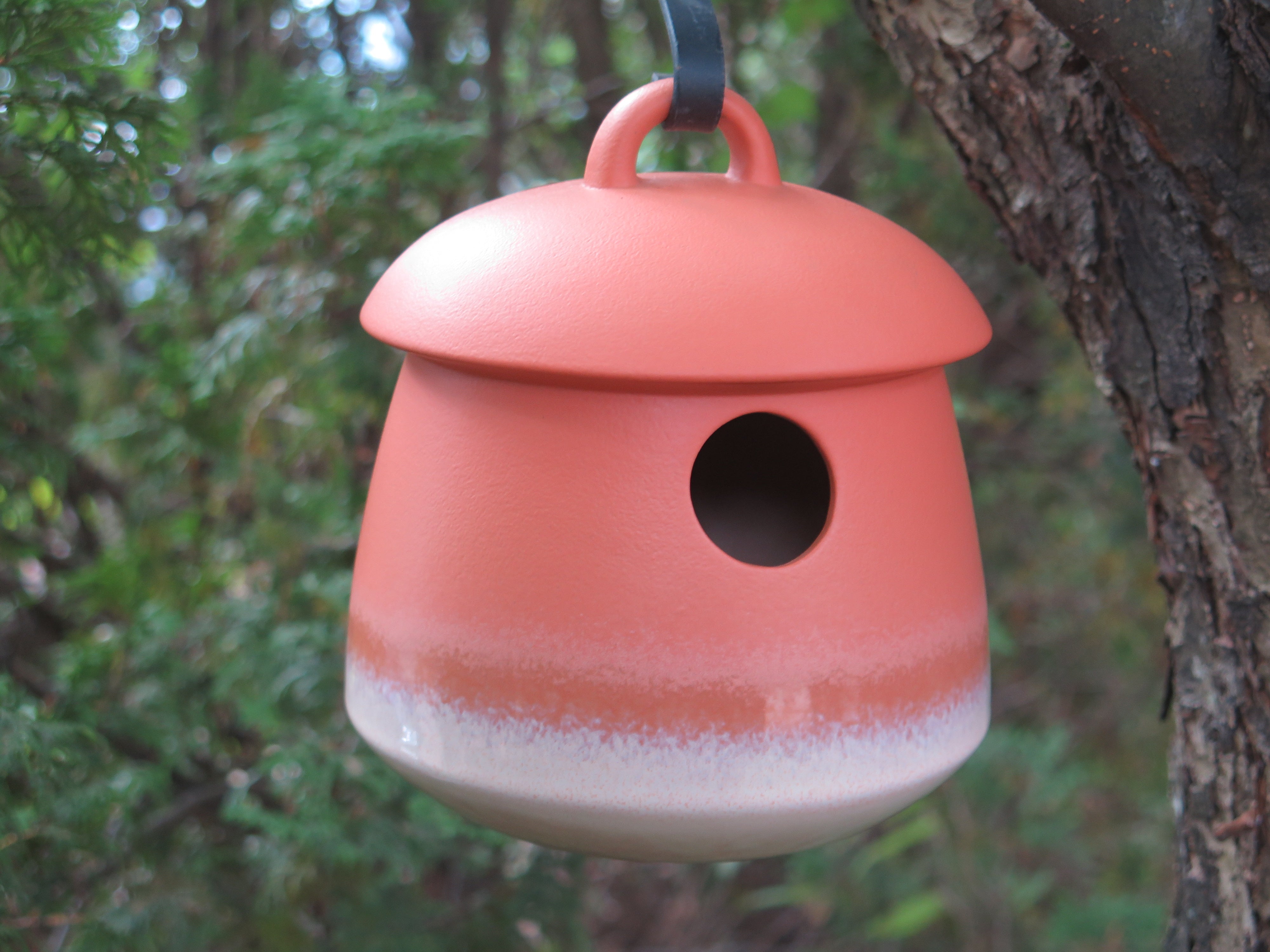 Byer Of Maine Return Bird Home
