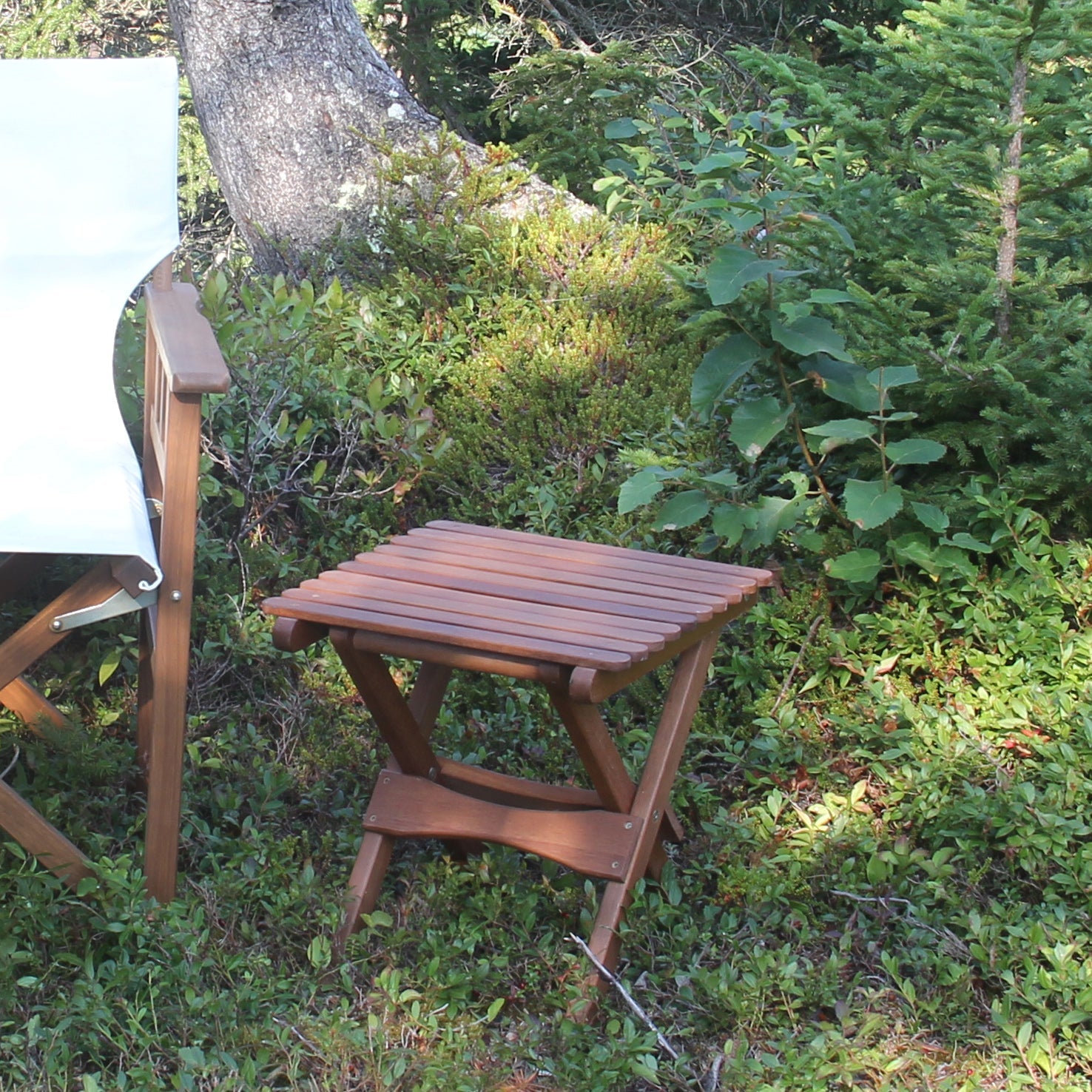 Byer Of Maine Pangean Folding Table - Small