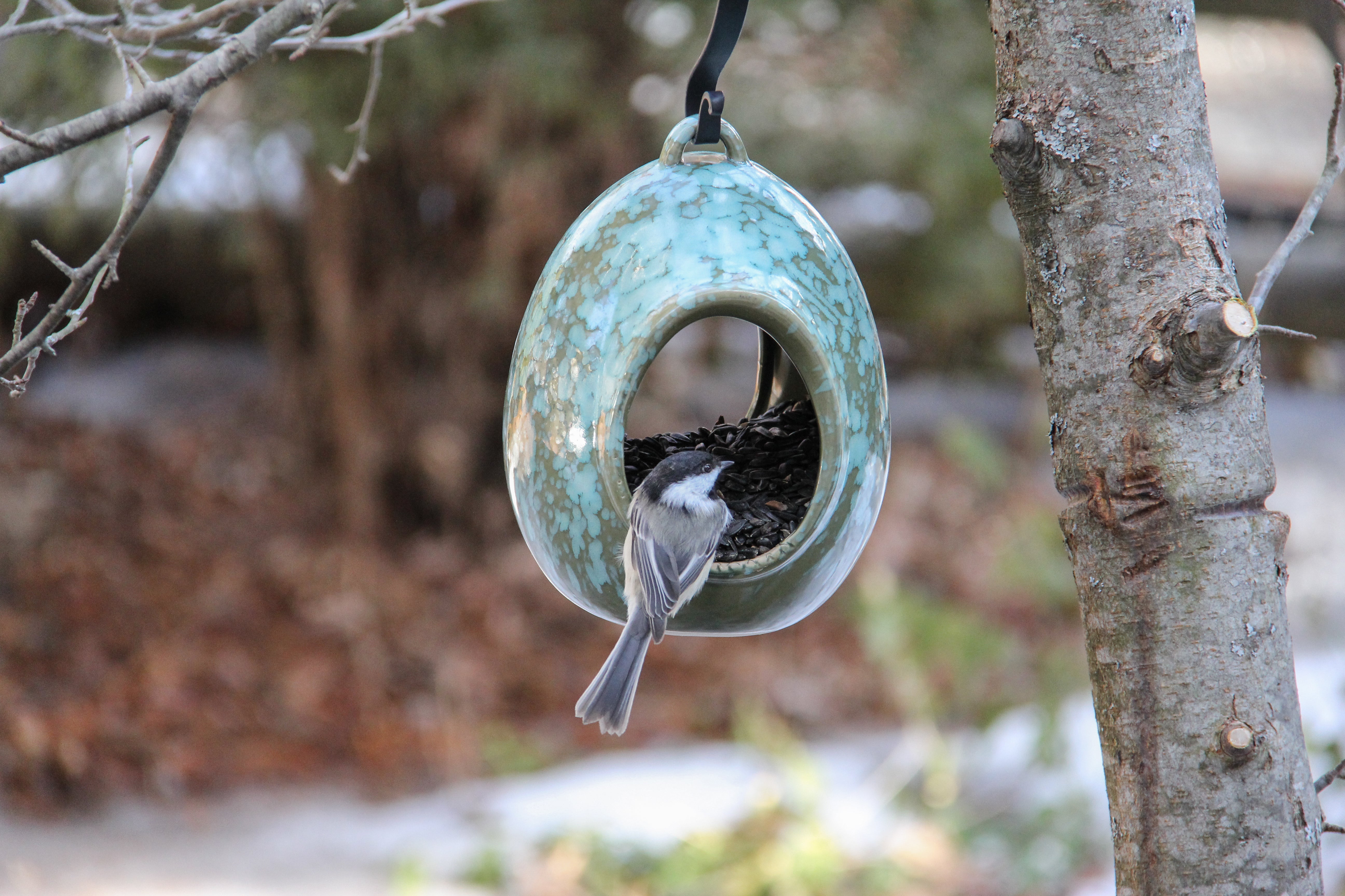 Byer Of Maine Egg Fly-Through Bird Feeder