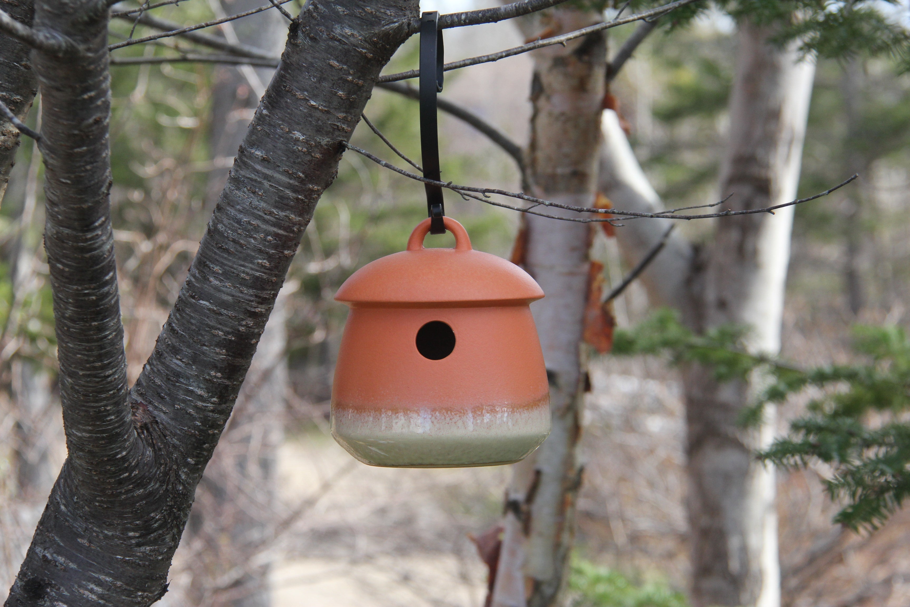 Byer Of Maine Return Bird Home