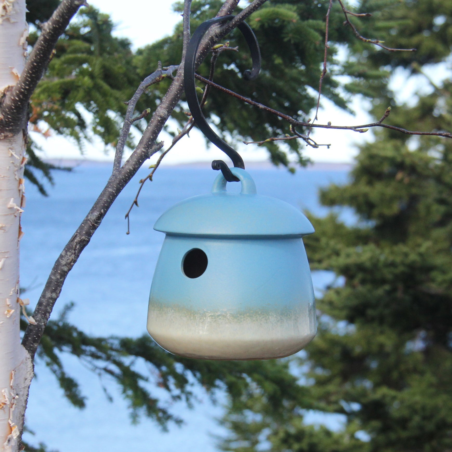 Byer Of Maine Return Bird Home