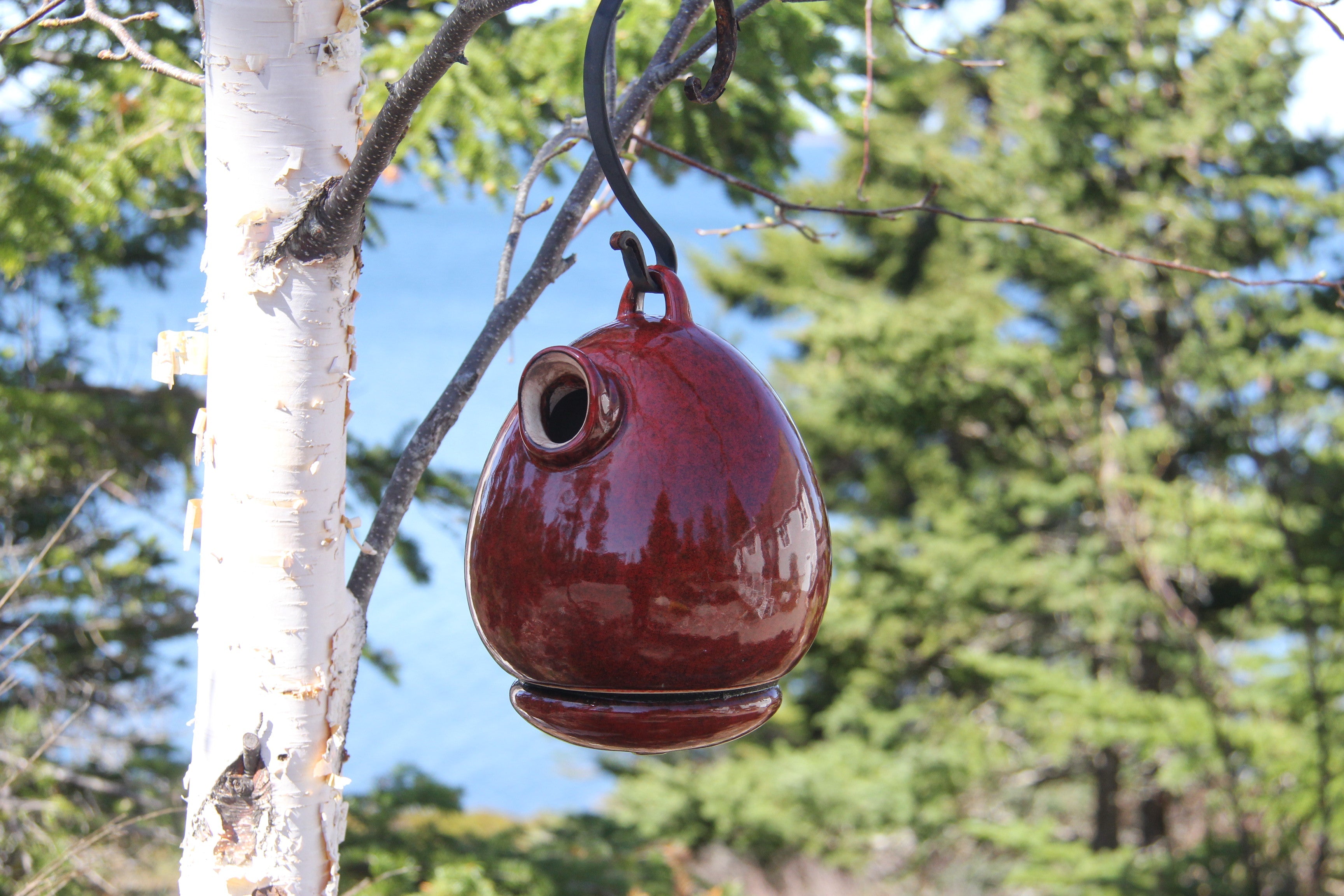 Byer Of Maine Egg Bird Home