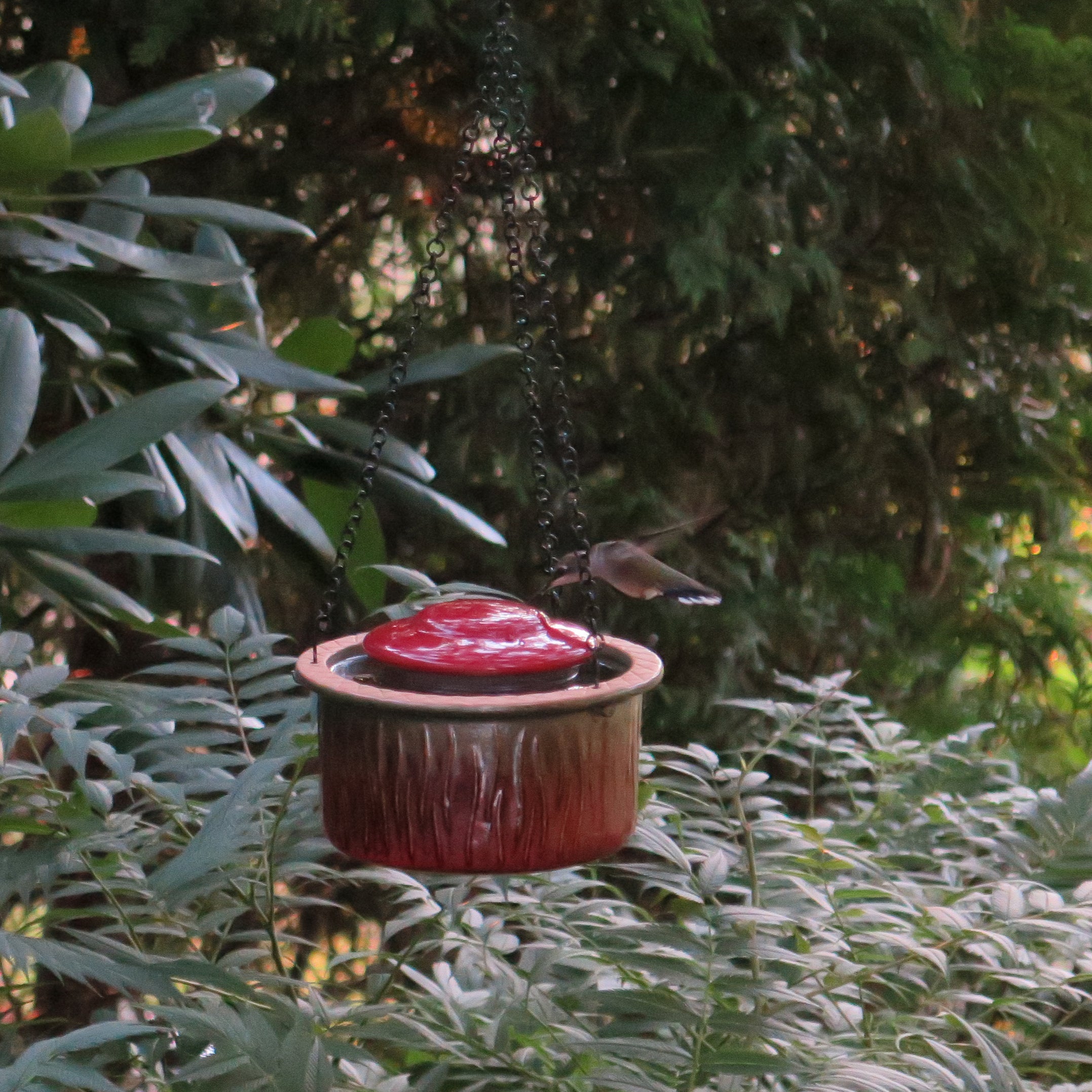 Byer Of Maine Alcyon Hummingbird Bird Feeder