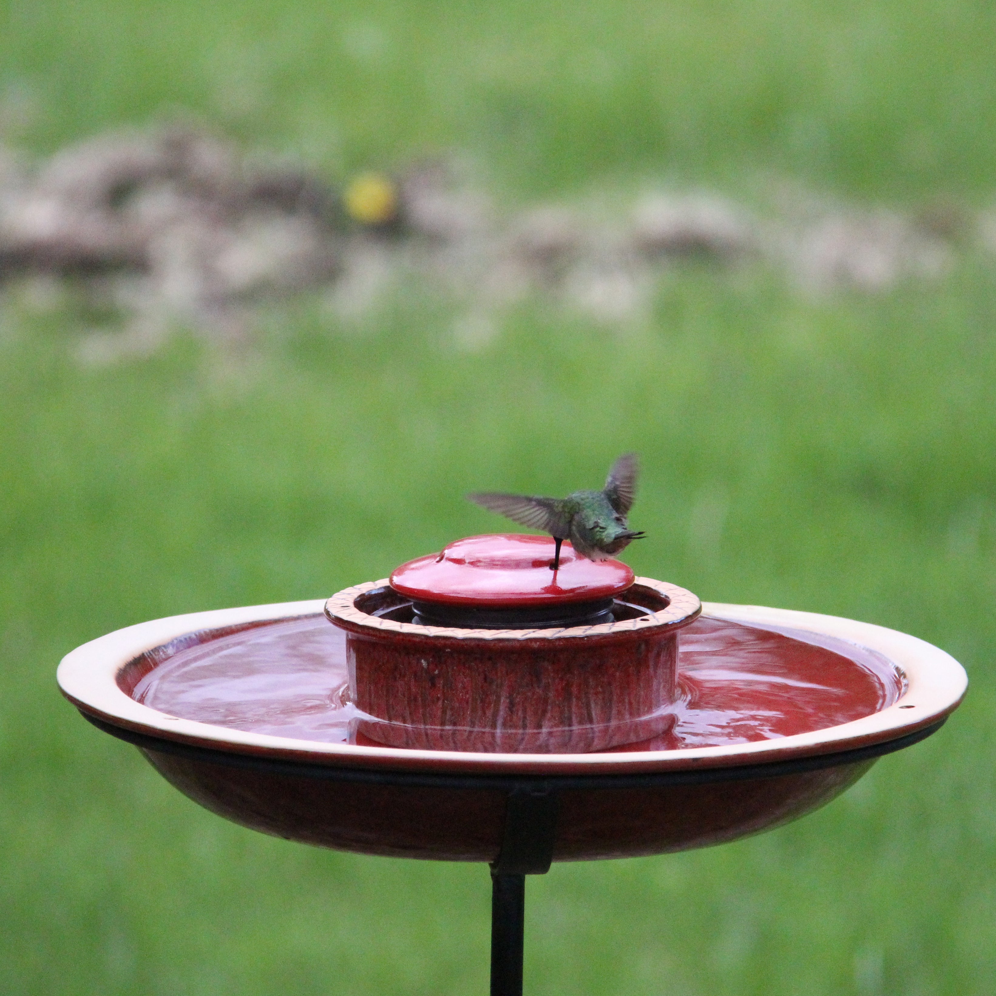 Byer Of Maine Alcyon Hummingbird Bird Feeder