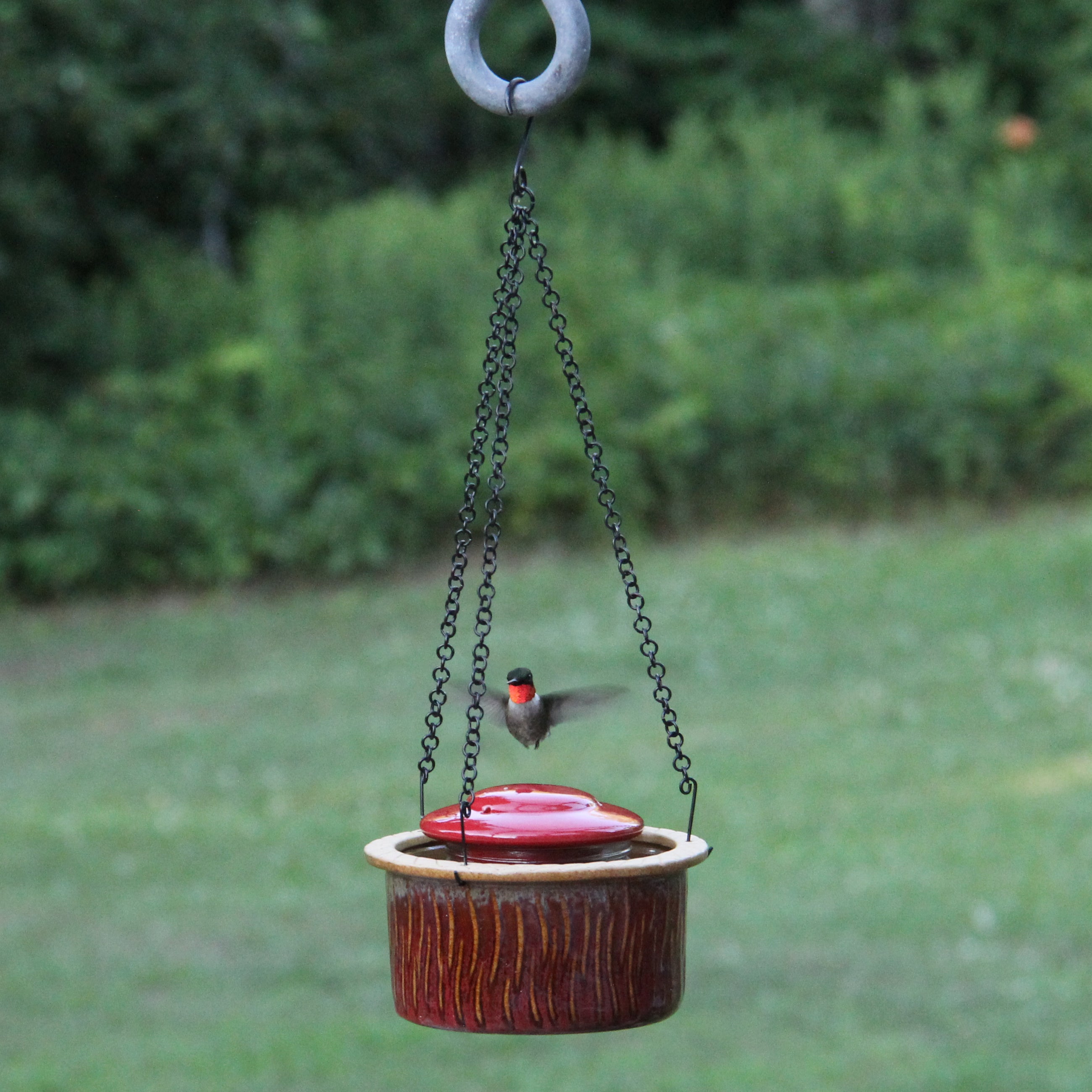 Byer Of Maine Alcyon Hummingbird Bird Feeder
