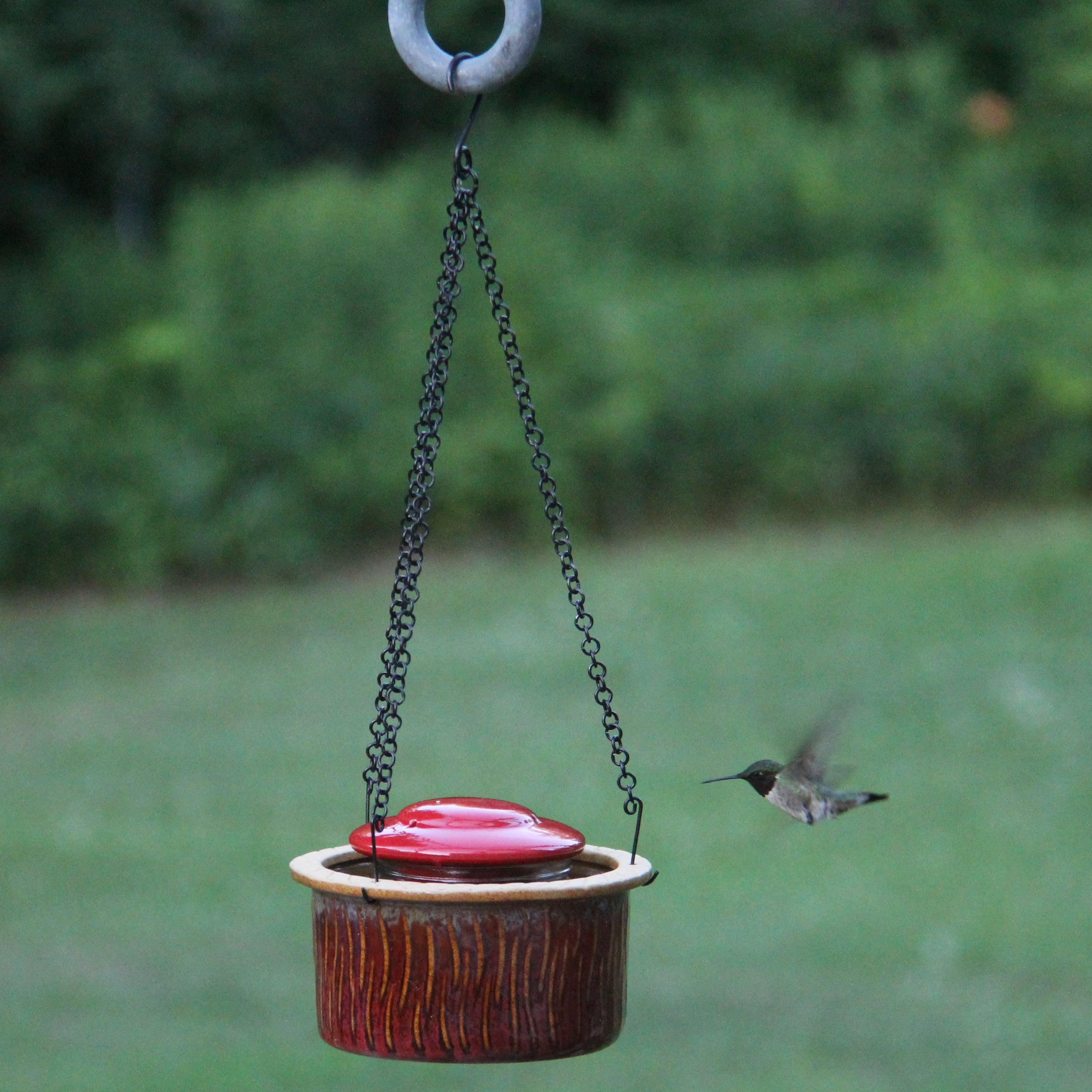 Byer Of Maine Alcyon Hummingbird Bird Feeder