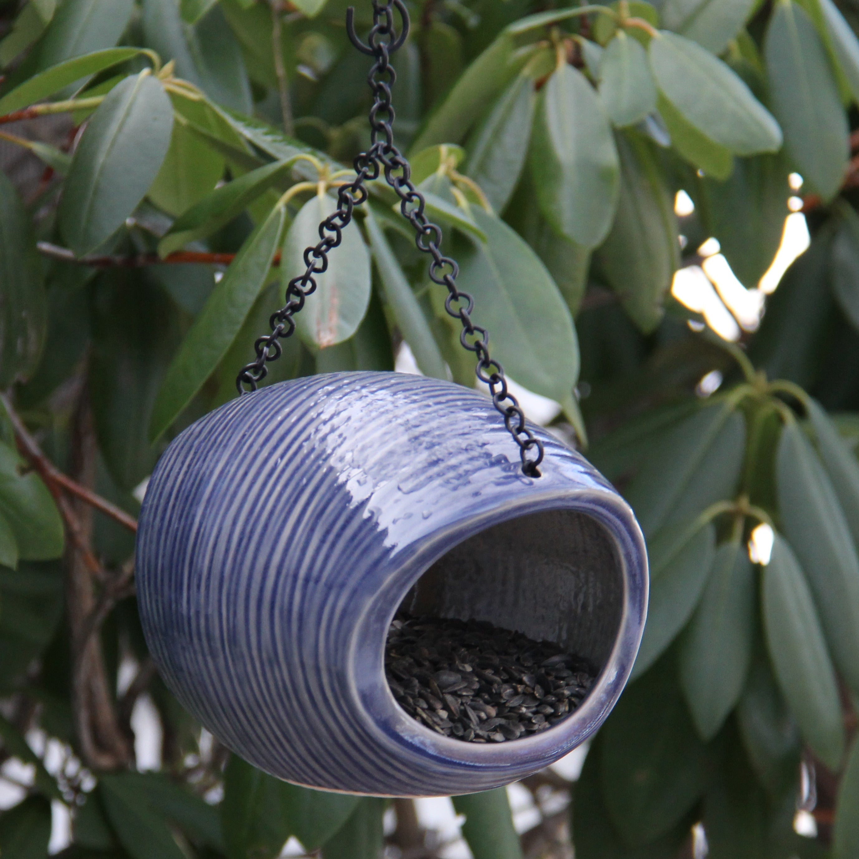 Byer Of Maine Mango Stone Fly Through Feeder