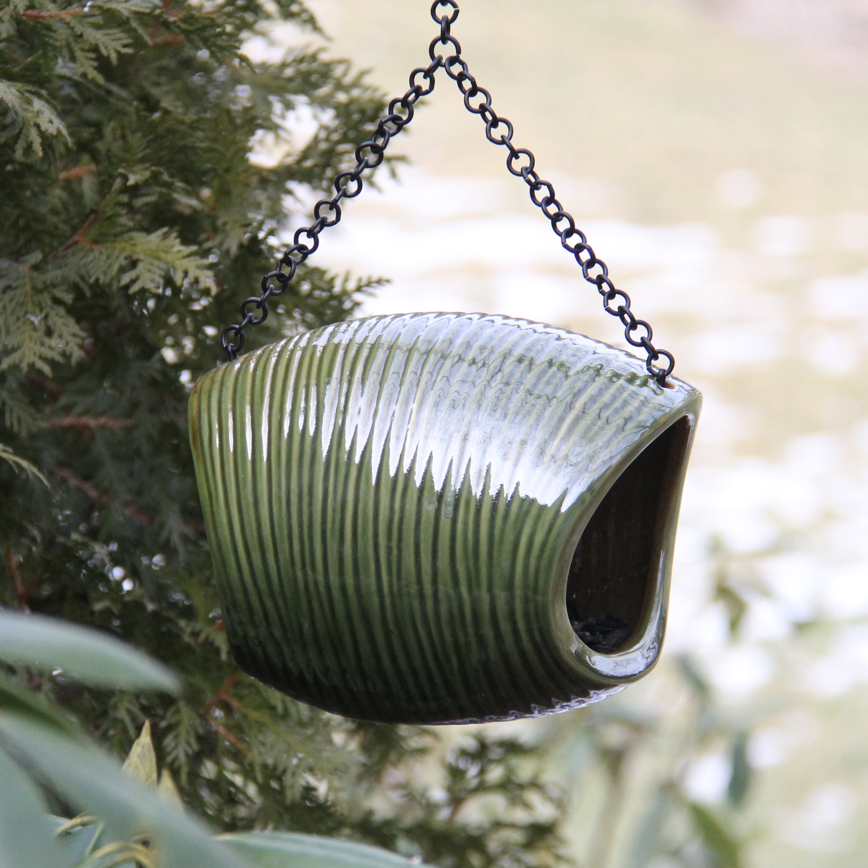 Byer Of Maine Mango Stone Fly Through Feeder