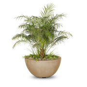 The Outdoor Plus Luna Concrete Planter Bowl