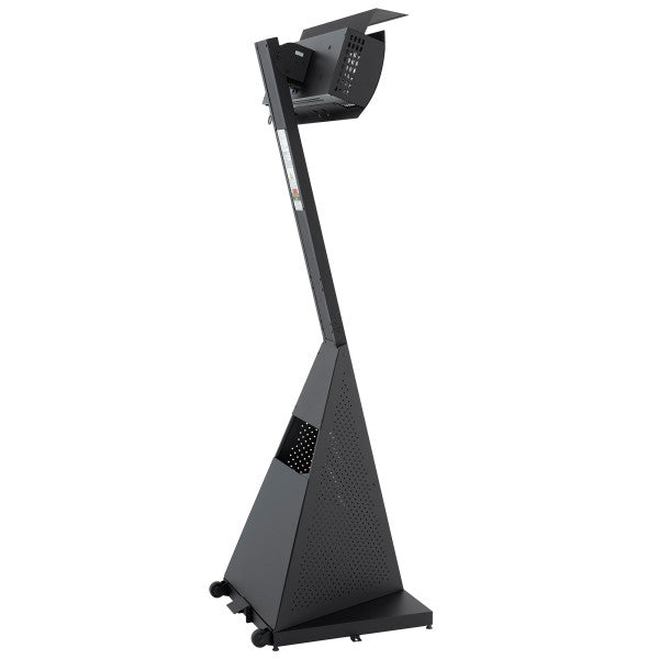 Dimplex Outdoor Infared Heater With Portable Stand LP Gas